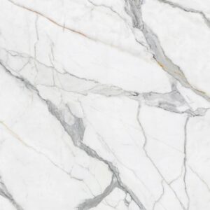 Italy Fishmaw White