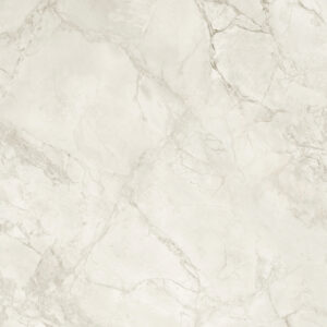 Fish Maw Grey