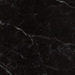 Shakespeare Black